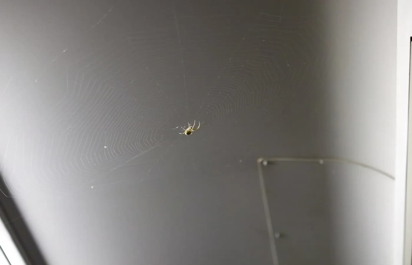 Toile d'araignée poussiéreuse dans un angle